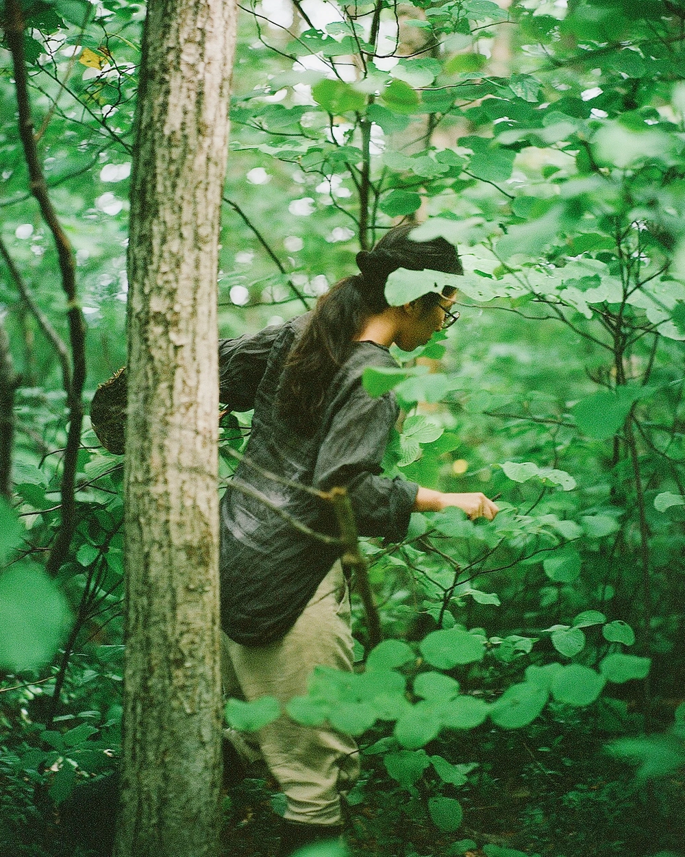 稲葉 鮎子