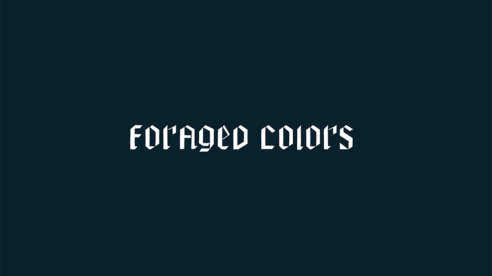 FORAGED COLORS